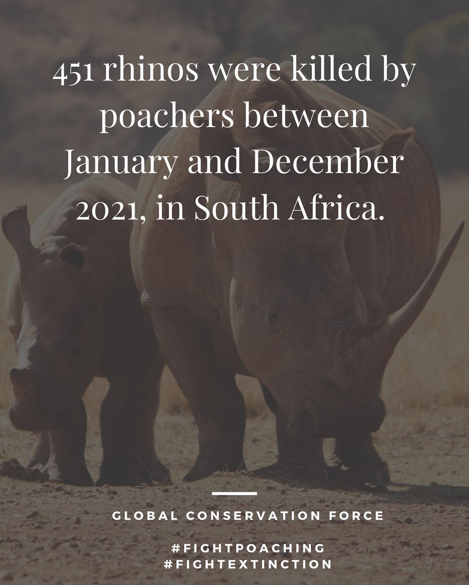 The fight to save rhinos continues.

Get involved, use your skills, start a fundraiser, take action. 

#rhinos #rhinoconservation #savingrhinos #wildlife #animals #poaching #antipoaching