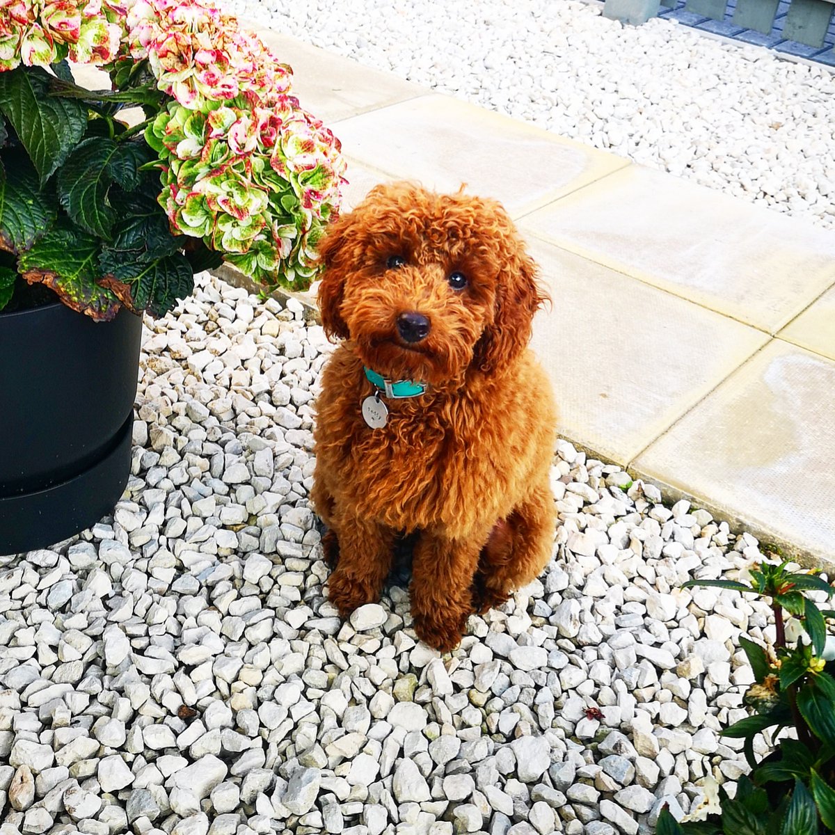 Claire - High Growth Companies @ SE tweet media