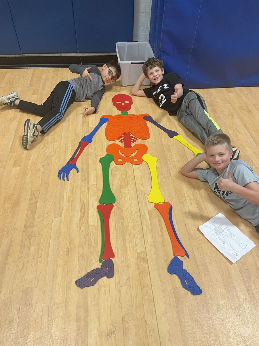 Learning about our bones and muscles in PE! #FHESfamily
