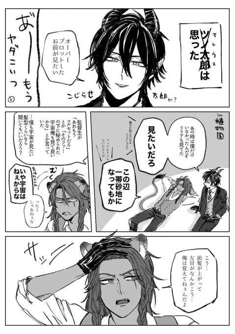 マレレオ でこちゅ 