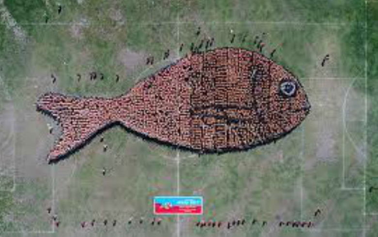 I Am Fish 🐡 OUT NOW! tweet media