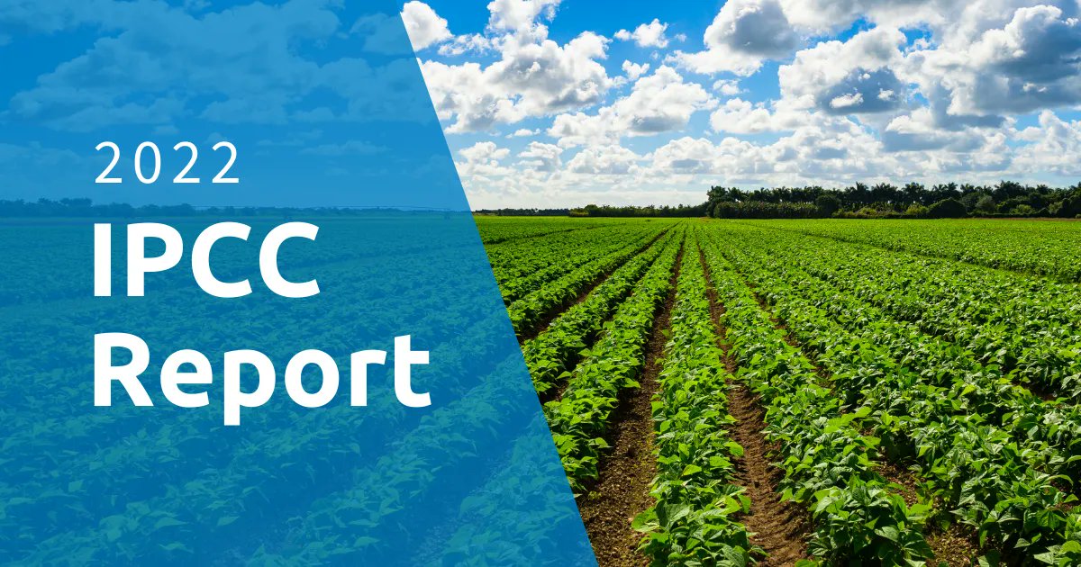 PortlandCCL's tweet photo. On this #CarbonFeeFriday, check out this article on the latest IPCC report. Carbon pricing is the best first step in tackling the #climatecrisis. Join our mission for a livable future by joining a CCL chapter near you! 🌱 

https://t.co/Mt5JBc8zP7 https://t.co/V0yees1KuW