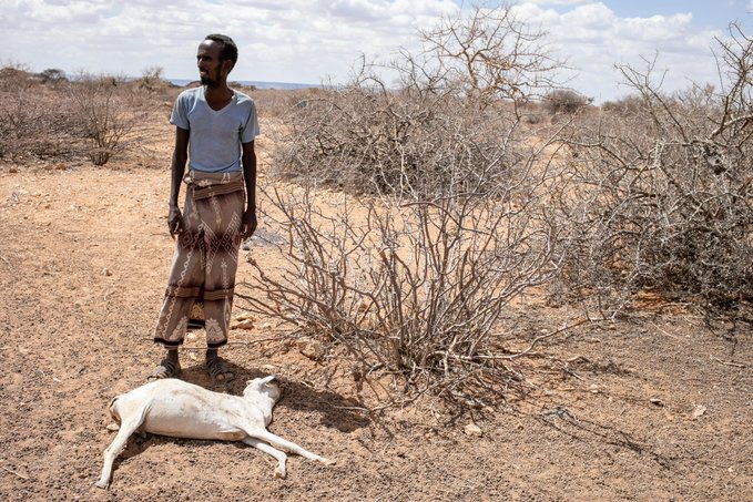 Somalia is facing a climate emergency. 4.1 million people are in Crisis & 671,000 Somalis have already left their homes in search of assistance due to the drought in Somalia.

#actnow4somalia
