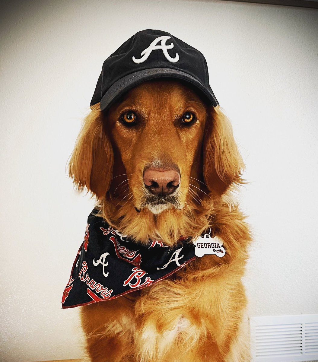 bgfalcon_'s tweet photo. Georgia Jones waiting for @Braves to #resignFreddie #LockoutOver #baseballisback #freeagency 😨😬🙏🏼 https://t.co/zEounSOW53
