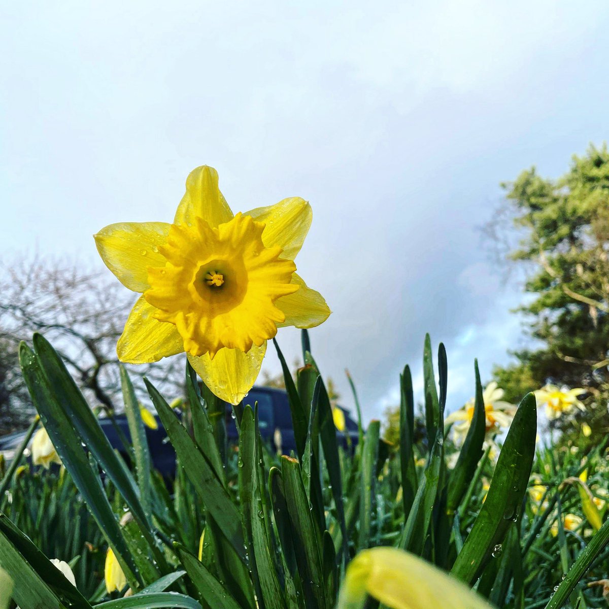 It’s beginning to brighten up for the game tonight. Good luck wales!!