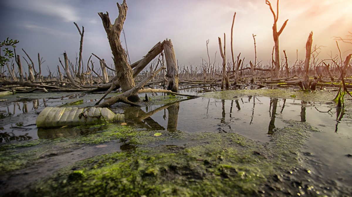 UNESCOWWAP's tweet photo. #ClimateChange & #EnvironmentalDegradation have pushed many ecosystems to the point of no return.
We have to: urgently integrate #genderperspectives into international laws.
We need: indigenous women’s intergenerational knowledge.
Ms. Sima Bahous, Ex. Dir. @UN_Women https://t.co/YhN1Z9rps9