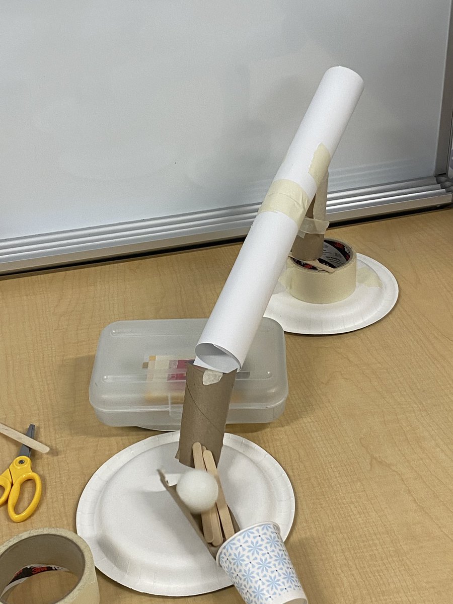 Delia Bush tweet media