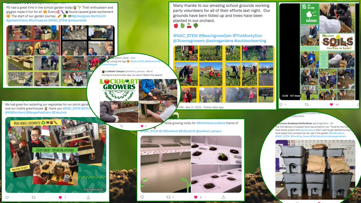 NAC_STEM's tweet photo. Earlier this session we awarded funding to 36 schools across @NAC_Education to establish &amp; enhance school gardens as a context for progressive #LearningforSustainabilty pupil experiences. Judging by the activity in our Twitter feed, Spring has definitely arrived! @CassellsAngela https://t.co/HhDOSmUQGV