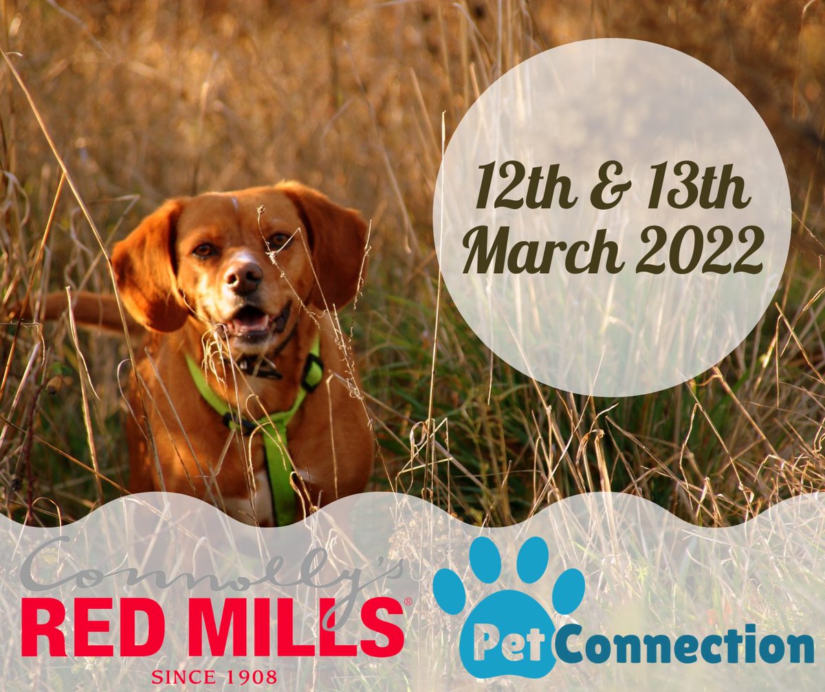 Pet_Connection's tweet image. Visit our Dublin Road #Newry store this weekend - 12th &amp;amp; 13th March - for a chat with Niamh from Redmills dog food!

You might even get a #voucher towards your next bag of dog food from the Redmills range 🐾