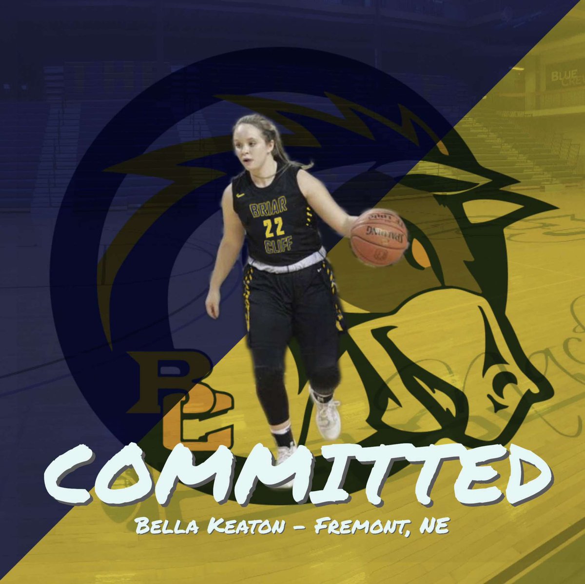 BriarCliffWBB's tweet photo. Good luck future CHARGERS still dancing in March!💙💛

@BellaKeaton is battling for the CHAMPIONSHIP and @kellyn_rogers7 is competing in the SEMIFINALS! Proud of you two! 

#ChargeUp x #buildthisthing https://t.co/x0lVPx9bfF