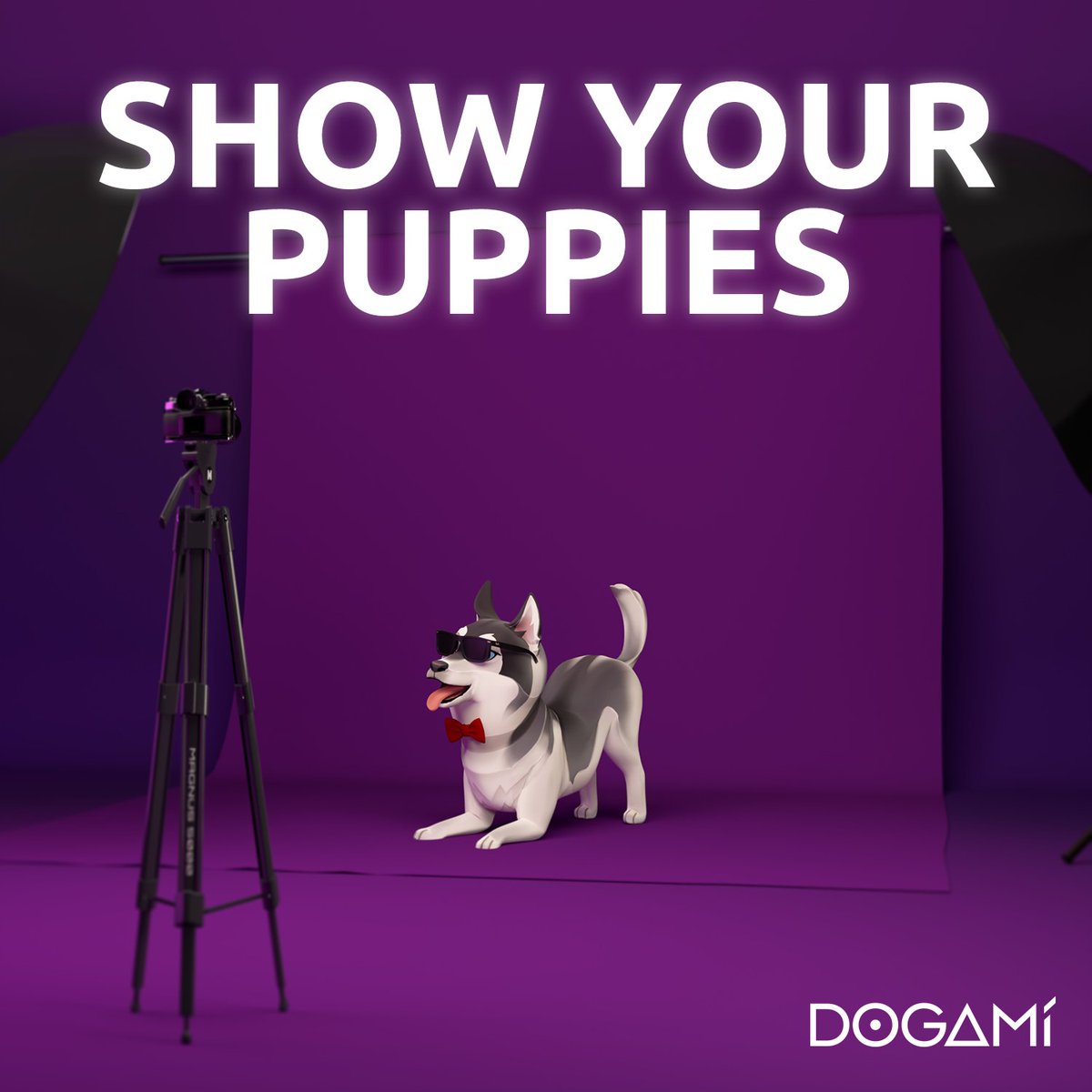 Dogami's tweet photo. Surprise paw control! 🚓🦴

Show all your puppies in the comments! 👀 https://t.co/qw3OinwB66