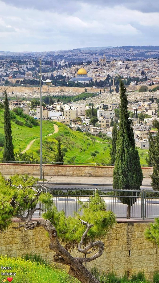 ScreenMix's tweet photo. مدينة القدس في صورة جميلة ♥️ https://t.co/uUv4TCfDfQ