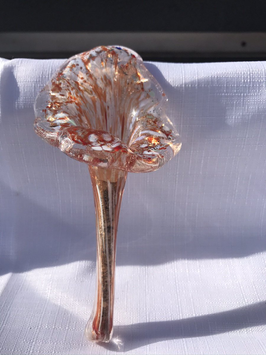 MarkRoom2's tweet photo. Ashes in flowers a small amount of a loved ones ashes sealed in a genuine Stourbridge Glass Flower available in a colour(s) of your choice samples foc to funeral directors #memorialglass #glass #stourbridgeglass https://t.co/osoTGMwkw2