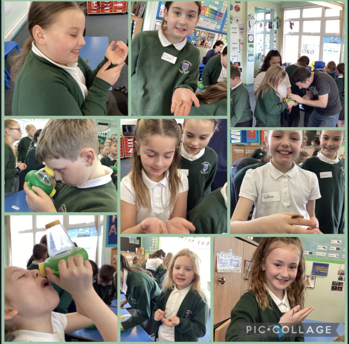 abarnardDSM's tweet photo. Thank you @EcoExplorer for the fantastic workshops at @DaltonStMarys. We have loved having you in school teaching the children and it has made our Science week very exciting 🤩🐞 #BSW2022 #makingsciencefun #wildworkshops https://t.co/FNonOASX8U