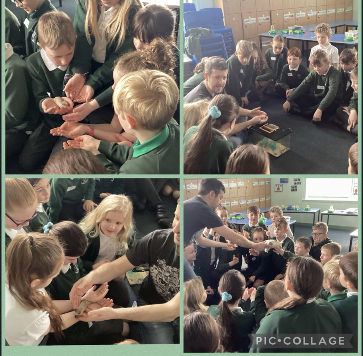 abarnardDSM's tweet photo. Thank you @EcoExplorer for the fantastic workshops at @DaltonStMarys. We have loved having you in school teaching the children and it has made our Science week very exciting 🤩🐞 #BSW2022 #makingsciencefun #wildworkshops https://t.co/FNonOASX8U