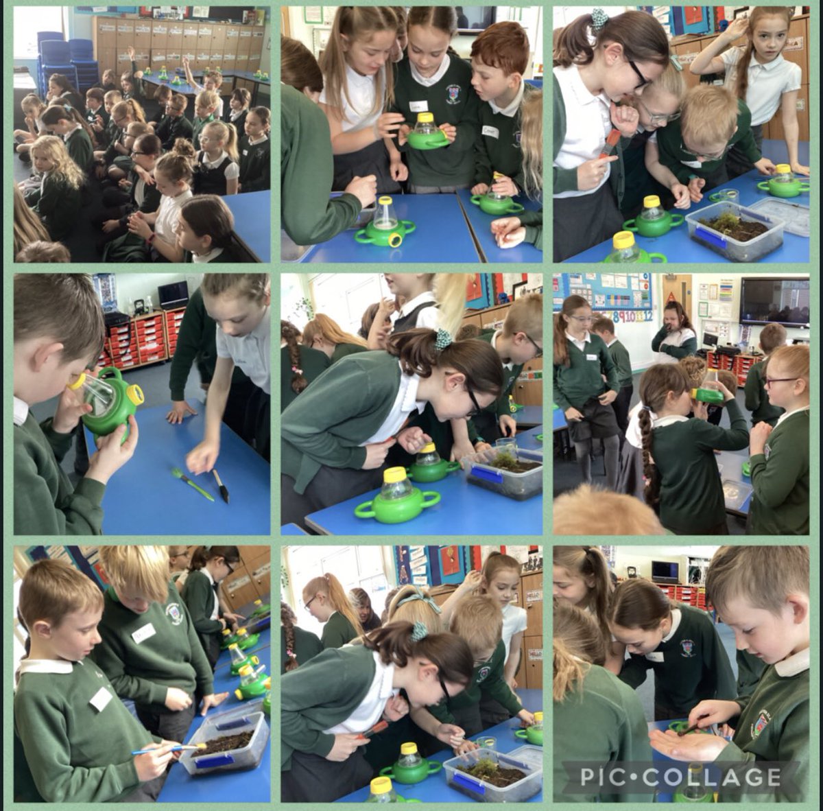 abarnardDSM's tweet photo. Thank you @EcoExplorer for the fantastic workshops at @DaltonStMarys. We have loved having you in school teaching the children and it has made our Science week very exciting 🤩🐞 #BSW2022 #makingsciencefun #wildworkshops https://t.co/FNonOASX8U