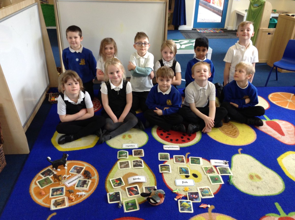 NewburghPrimary's tweet photo. Year 1 have been learning about the classification of animals. 
We sorted the animals into their different groups and learnt that we are mammals!🐬🐈
#Year1 #continuousprovison #science #Edutwitter https://t.co/WL6ztBcdHh