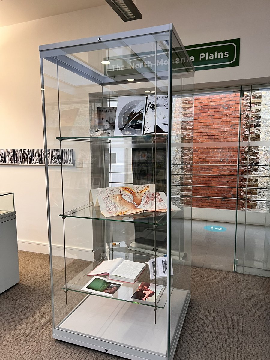 Chelsea_Library's tweet photo. IN YOUR PATH: an exhibition of artists’ books and multiples by created by women is now on display. Curated by artist Denise Hawrysio &amp; librarian Siobhán Britton, it features works from Denise’s personal collection of artists’ books and from @Chelsea_Library’s special collections https://t.co/kBC1enYCs4