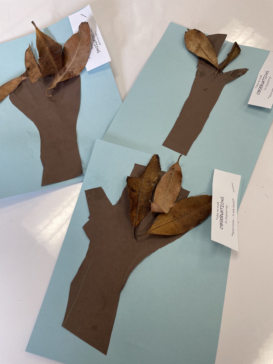 Cassie Rivaldi (@bymedesign) on Twitter photo TK #feasterengineering Ss had a great day making "observations" about leaves and then made a tree craft with all of the leaves they found! #feasterlearns <a href="/FeasterCharter/">Feaster Charter CVESD</a> TK #feasterengineering Ss had a great day making "observations" about leaves and then made a tree craft with all of the leaves they found! #feasterlearns <a href="/FeasterCharter/">Feaster Charter CVESD</a>