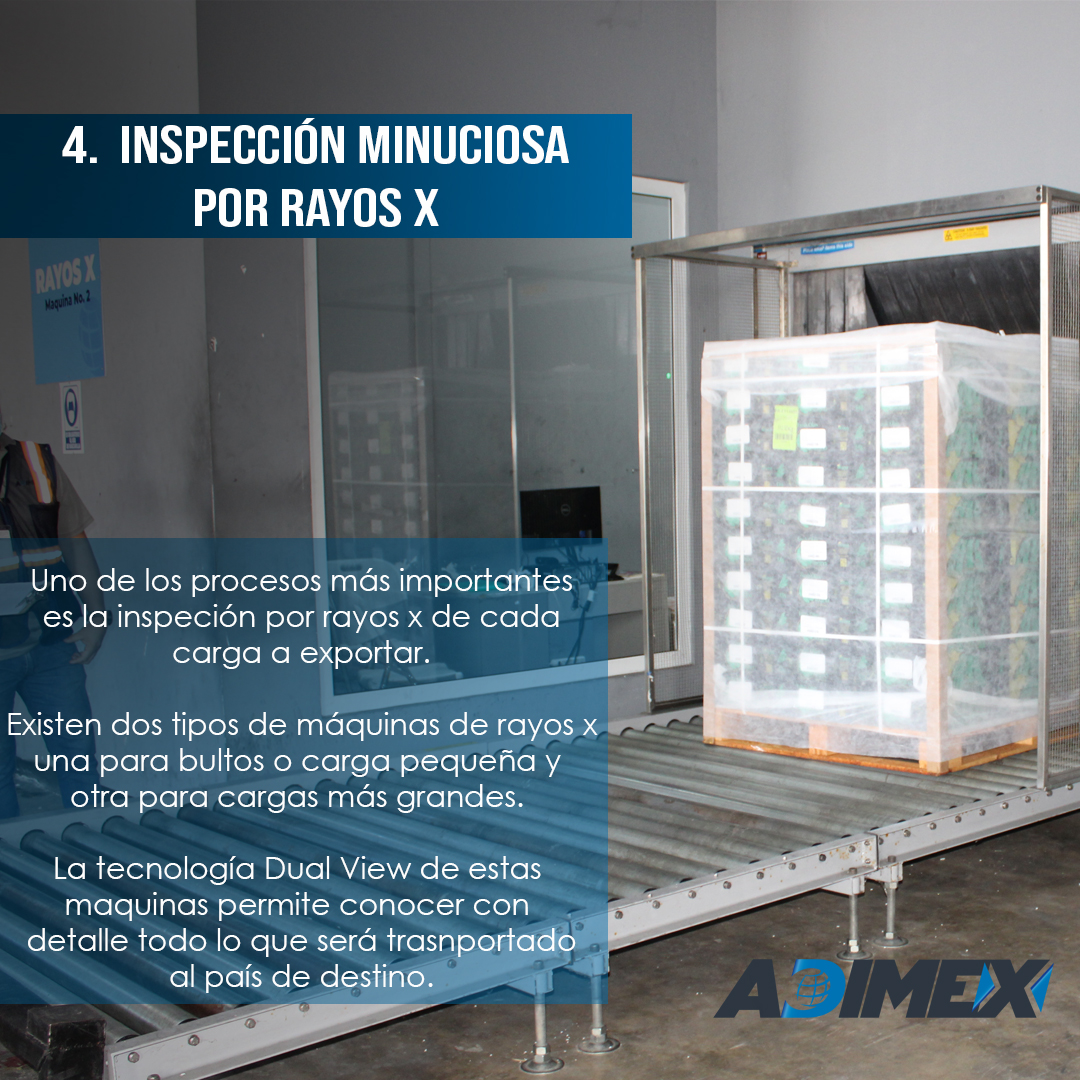 ADIMEX_Oficial's tweet photo. 2/2 #Adetalle Uno de los procesos principales en las operaciones de las terminales de carga que administra ADIMEX son las exportaciones a diversas partes del mundo. 💯
Conoce a detalle datos importantes respecto a este proceso.
#ADIMEX #TerminalesdeCarga #ExportacionADIMEX https://t.co/HQeN8SzacX