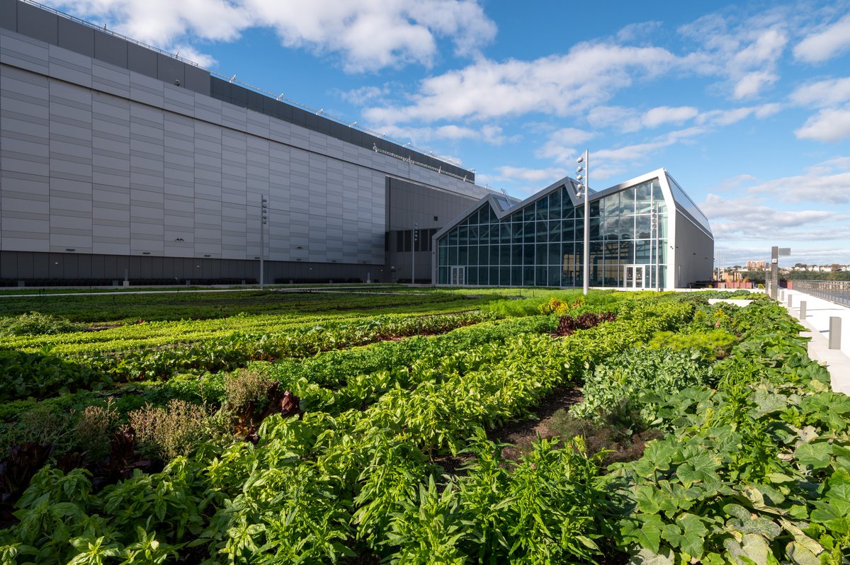 javitscenter's tweet photo. We’re taking sustainability to the next level  – literally – with the largest green roof in New York State and a one-acre rooftop farm + now you can help us tell our story by becoming a tour guide! Join our team today! Apply here👉 https://t.co/US79O4jxxS https://t.co/wWVvXpaCOl