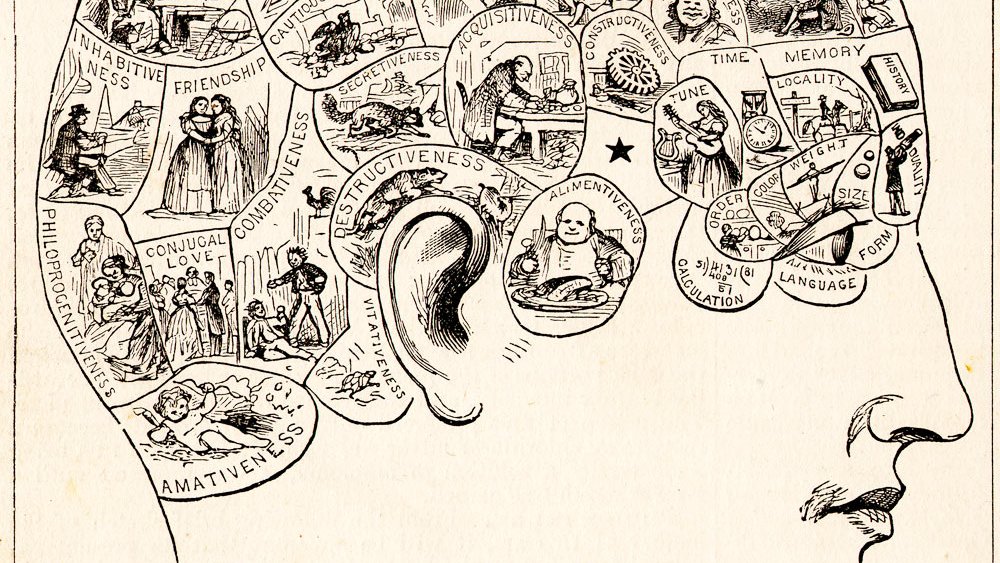 Phréno-quoi ⁉️ Avec les <a href="/EditionsduSeuil/">Éditions du Seuil</a>, on se penche  sur une pseudo-science pas banale 👉 newsletters.artips.fr/Sciencetips/Ma…