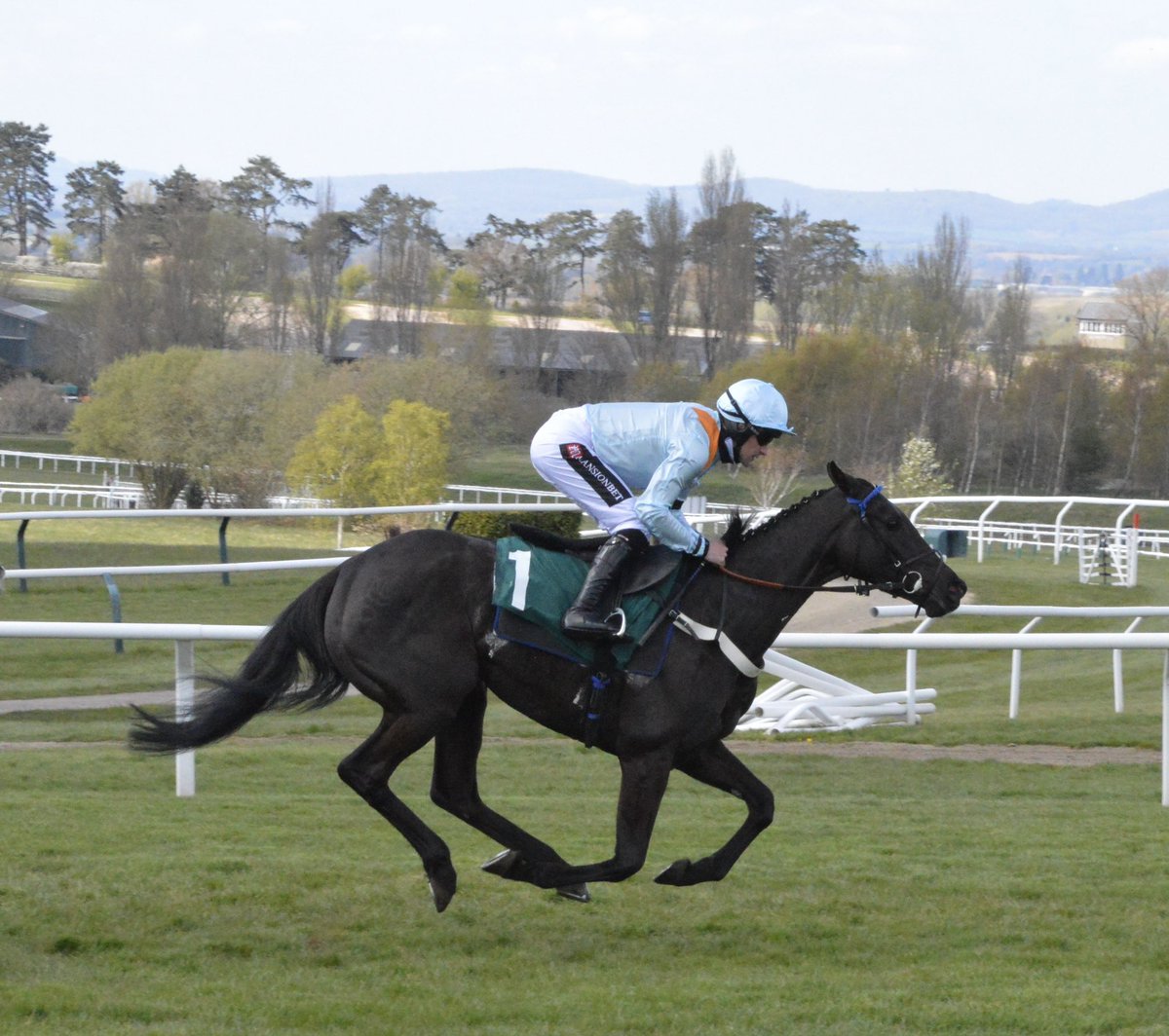 dg74s's tweet photo. Our lovely mare Fiveandtwenty runs @HerefordRaces tomorrow. A tricky small field but hopefully she likes the ground and runs well. Good luck and safe race girl @MprUpdates @donaldmccain https://t.co/porTBP0WP6