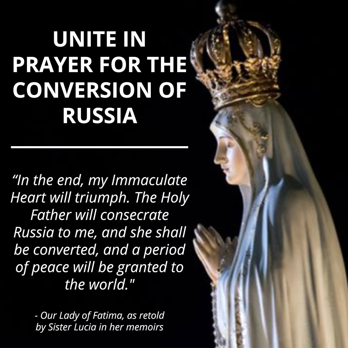 Catholic News Agency tweet media