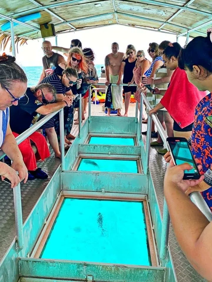 Plenty of fish to see from our glass bottom boats <a href="/captaintamas/">CaptainTamasLagoonCruizes</a>.com 🐠🦀🏝
#glassbottomboat #rarotonga #cookislands