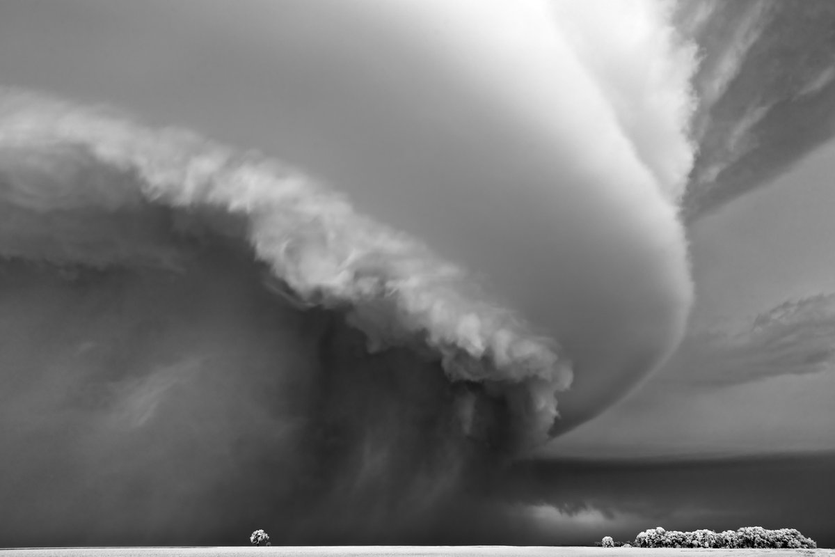 Mitch Dobrowner tweet media