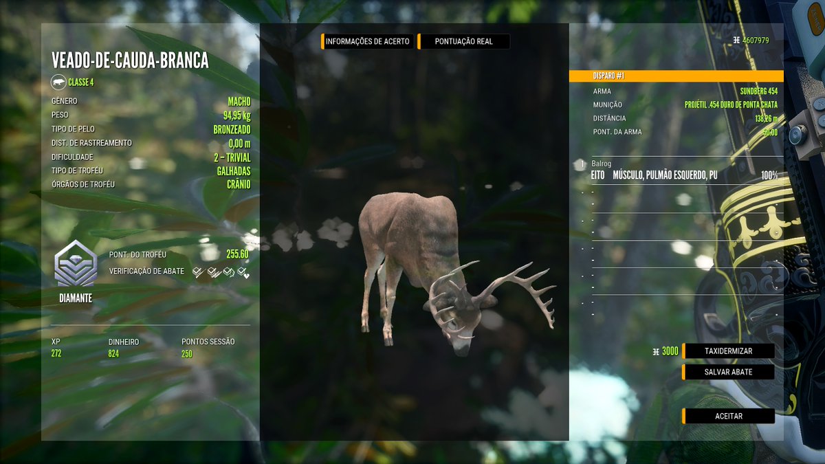 tocadobalrog's tweet photo. Diamante inesperado durante a live. #thehunter #thehuntercallofthewild #thehuntercotw #whitetaildeer #whitetailhunting #454casull https://t.co/zZlBtO6QsI