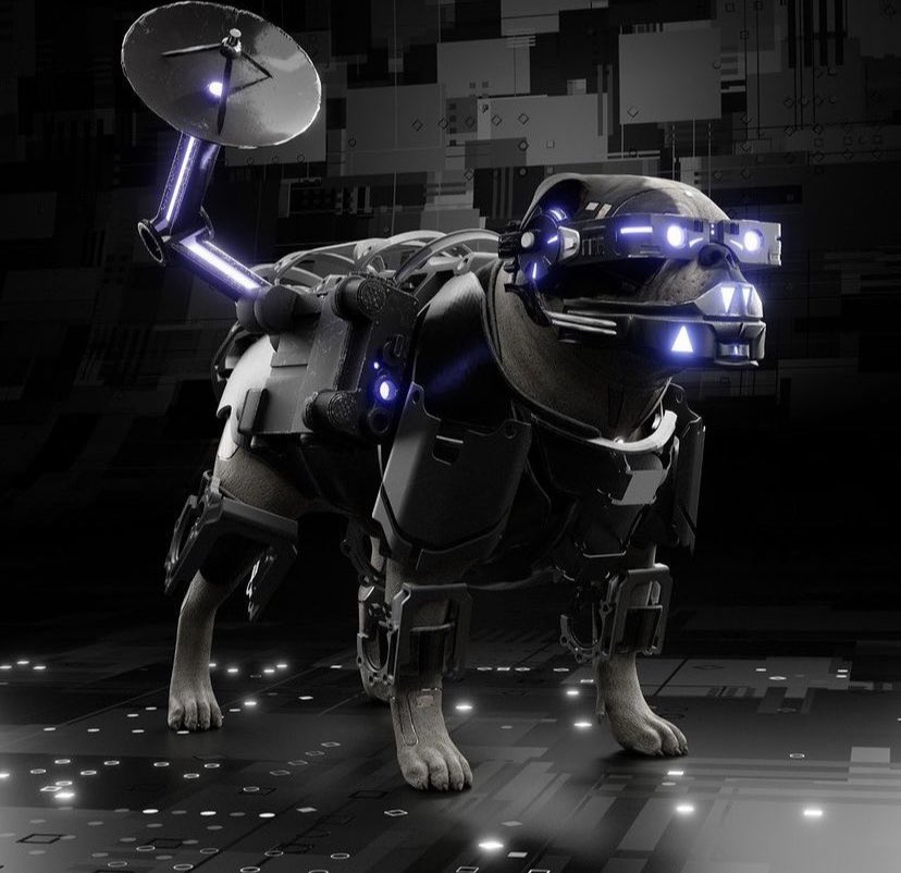 codo43_db's tweet photo. @Cyborg86nft @RaritySniperNFT Best community with awesome art! https://t.co/mD2BS4Ulq2