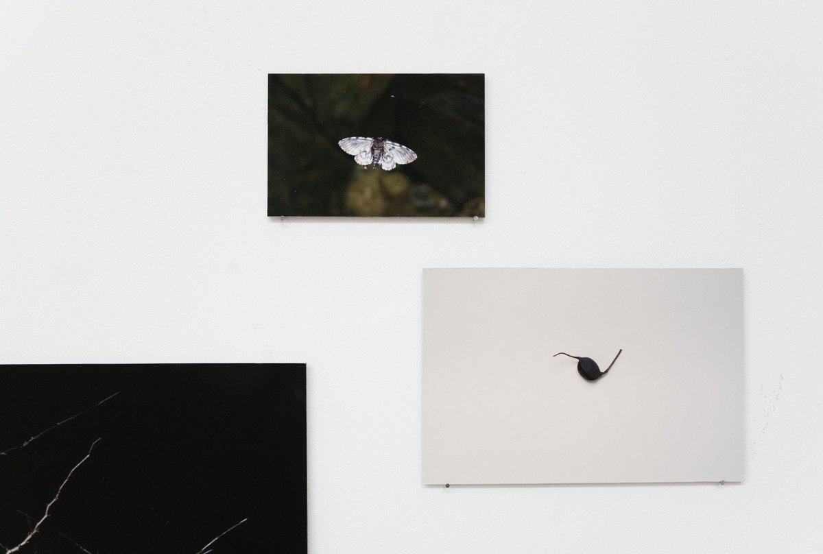 LUNÁRIO
Valter Ventura

19.02.2022 – 26.03.2022

—

#kubikgallery #valterventura #artgallery #contemporaryart #porto #Portugal