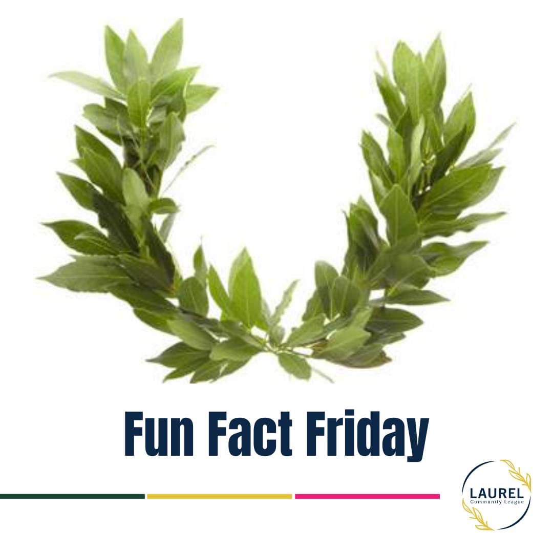 LaurelCLYEG's tweet photo. A laurel is a shrub that was traditionally used to weave wreaths and crowns that were symbols of victory in the sporting events of Ancient Greece. Today, laurel is synonymous with achievement, and a laureate is one who an award or achievement is bestowed upon.
#laurel @EFCL https://t.co/Y3RGcIwZfh