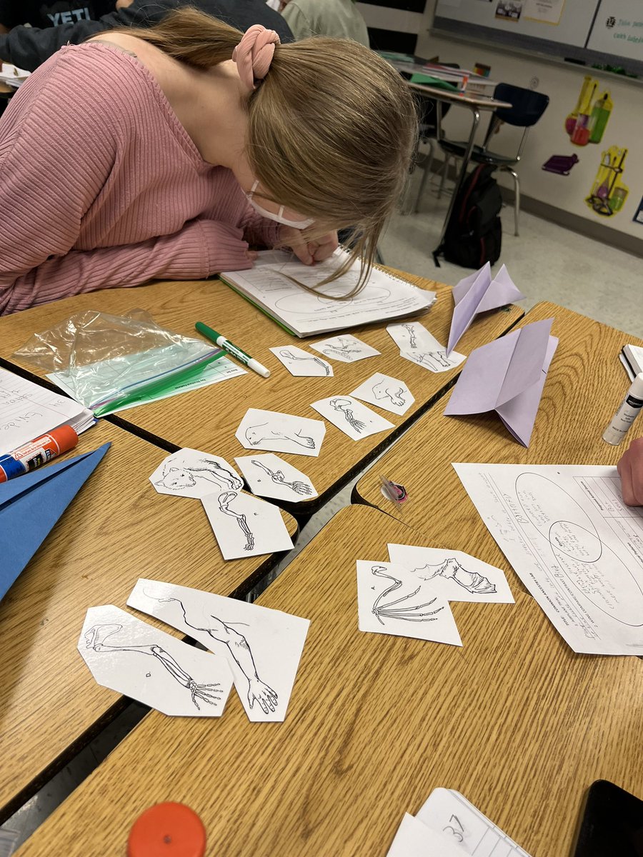 Misty Avila tweet media