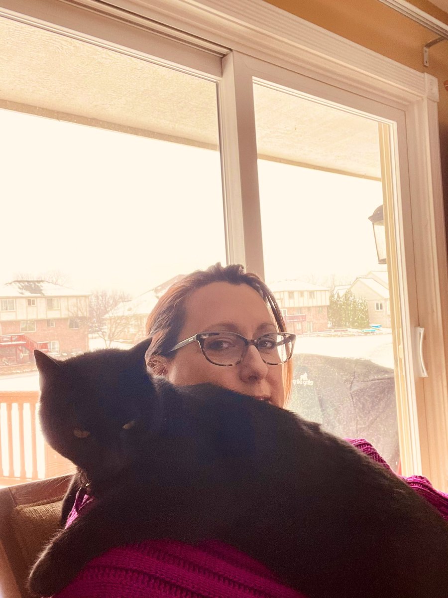 jennette_smith's tweet photo. Anyone else dealing with this while trying to write today? #coldsnap #catmuse https://t.co/4WCOVrUi32