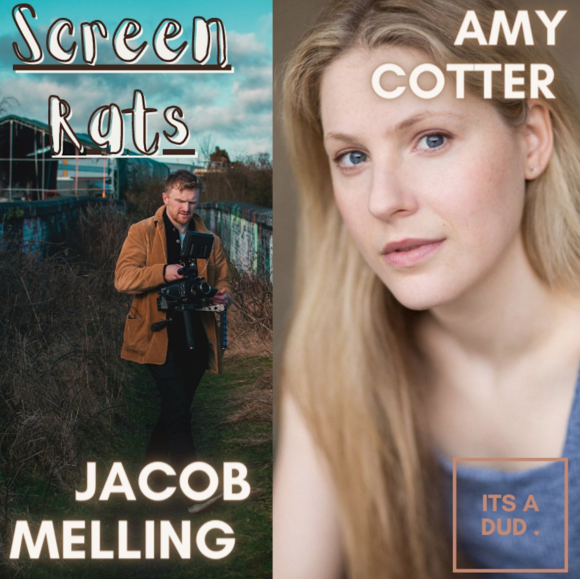 Its a dud tweet media