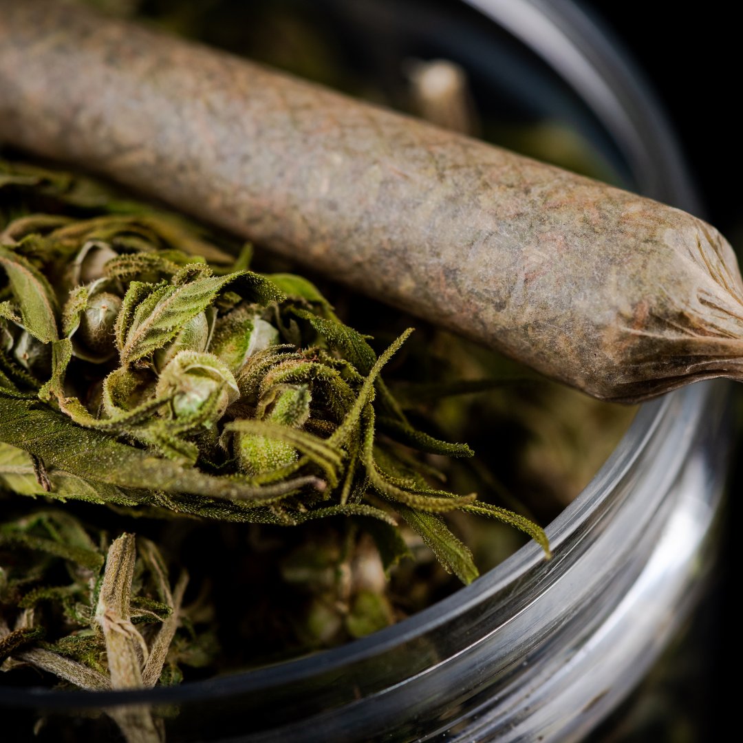 GreeneryMap's tweet image. Lookin good 🤤