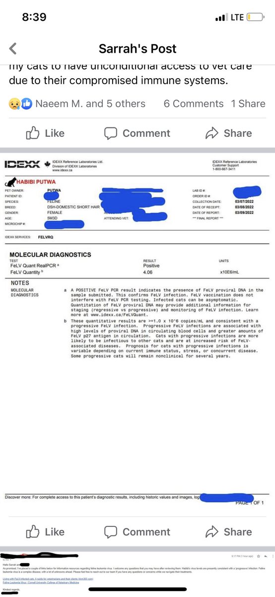 Mitskeep's tweet photo. The director of southpaw ns is ghosting me and hiding my cats’ diagnosis from other adopters. My cats were with at least 6 others when I picked them up from the foster family. I have the medical and doctors statements to prove my claim https://t.co/Y1NEkjGfnz