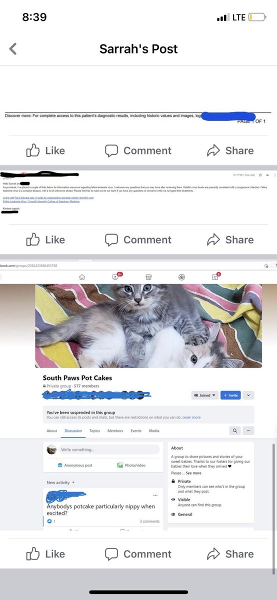 Mitskeep's tweet photo. The director of southpaw ns is ghosting me and hiding my cats’ diagnosis from other adopters. My cats were with at least 6 others when I picked them up from the foster family. I have the medical and doctors statements to prove my claim https://t.co/Y1NEkjGfnz