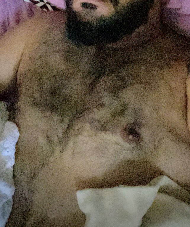 Barba negra -🐻 tweet media