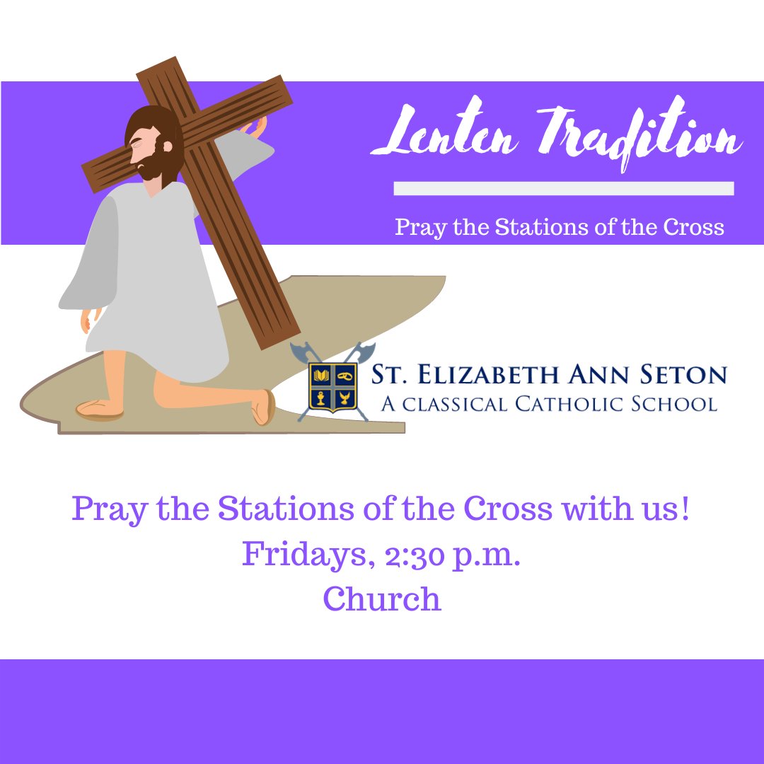 St. Elizabeth Ann Seton Catholic School Keller tweet media