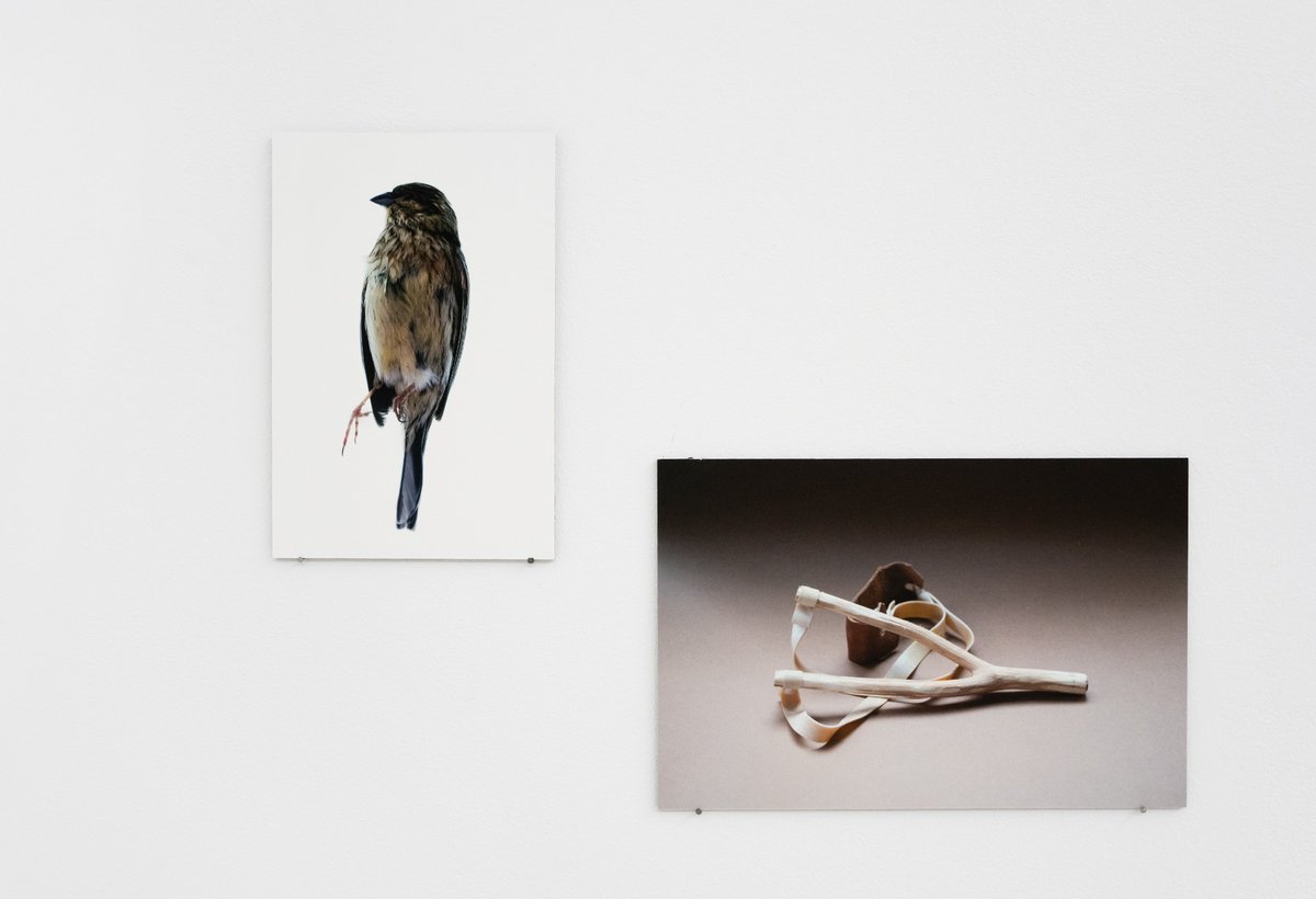 LUNÁRIO
Valter Ventura

19.02.2022 – 26.03.2022

—

#kubikgallery #valterventura #artgallery #contemporaryart #porto #Portugal