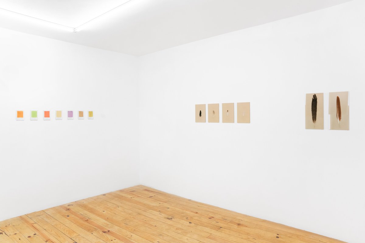 LUNÁRIO
Valter Ventura

19.02.2022 – 26.03.2022

—

#kubikgallery #valterventura #artgallery #contemporaryart #porto #Portugal