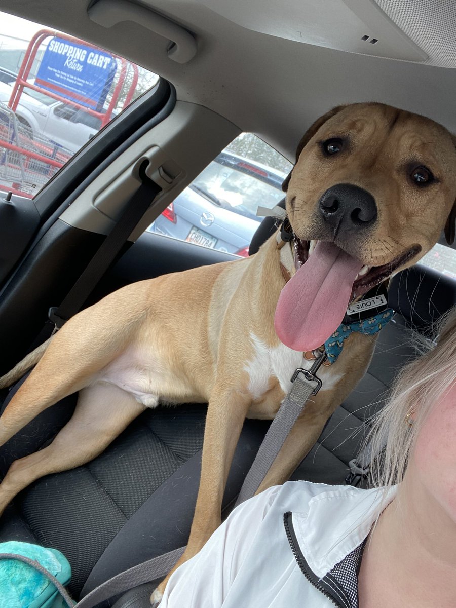 venmo4feet's tweet image. my dog just shit in Home Depot and I had to pick it up with my bare hands and he doesn’t even regret it. how is your day going?