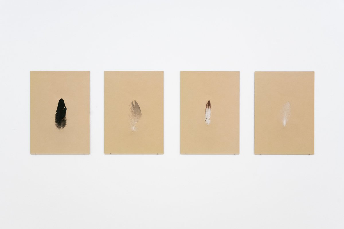 LUNÁRIO
Valter Ventura

19.02.2022 – 26.03.2022

—

#kubikgallery #valterventura #artgallery #contemporaryart #porto #Portugal