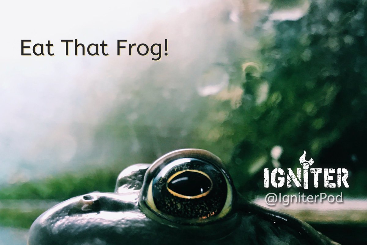 No more dillydallying. It’s time to tackle the nastiest task and get it out of the way. In this episode, <a href="/RobertWynia/">ℝobert Wynia</a> and <a href="/MarkPowers/">Mark Powers</a> discuss some of the benefits of this approach, as well as a few considerations to keep in mind as you set out to do so.⁣

anchor.fm/igniterpod/epi…