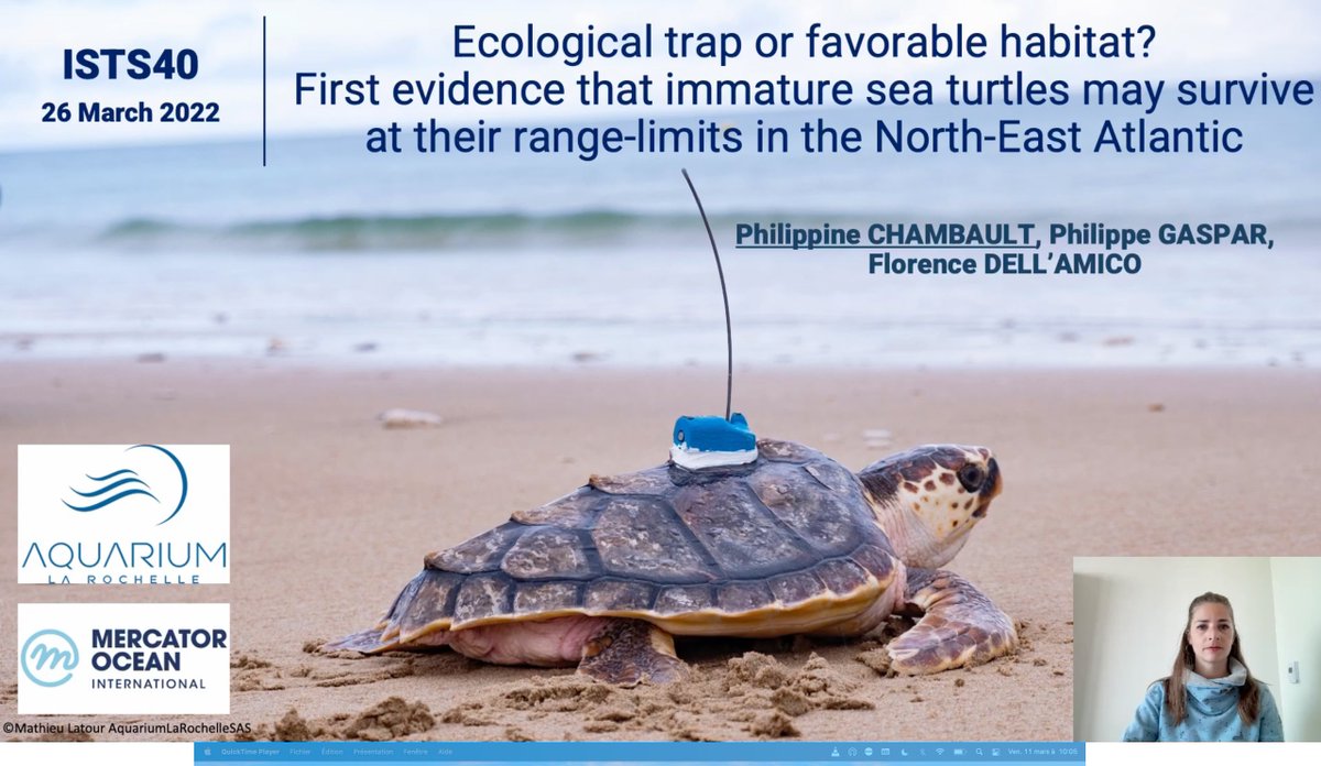 D-14: getting ready for @ISTS40_Virtual  !
Can't wait to talk about the journey of immature sea 🐢 after rehabilitation at the <a href="/aqualarochelle/">Aquarium La Rochelle</a> 
<a href="/MercatorOcean/">Mercator Ocean International</a>