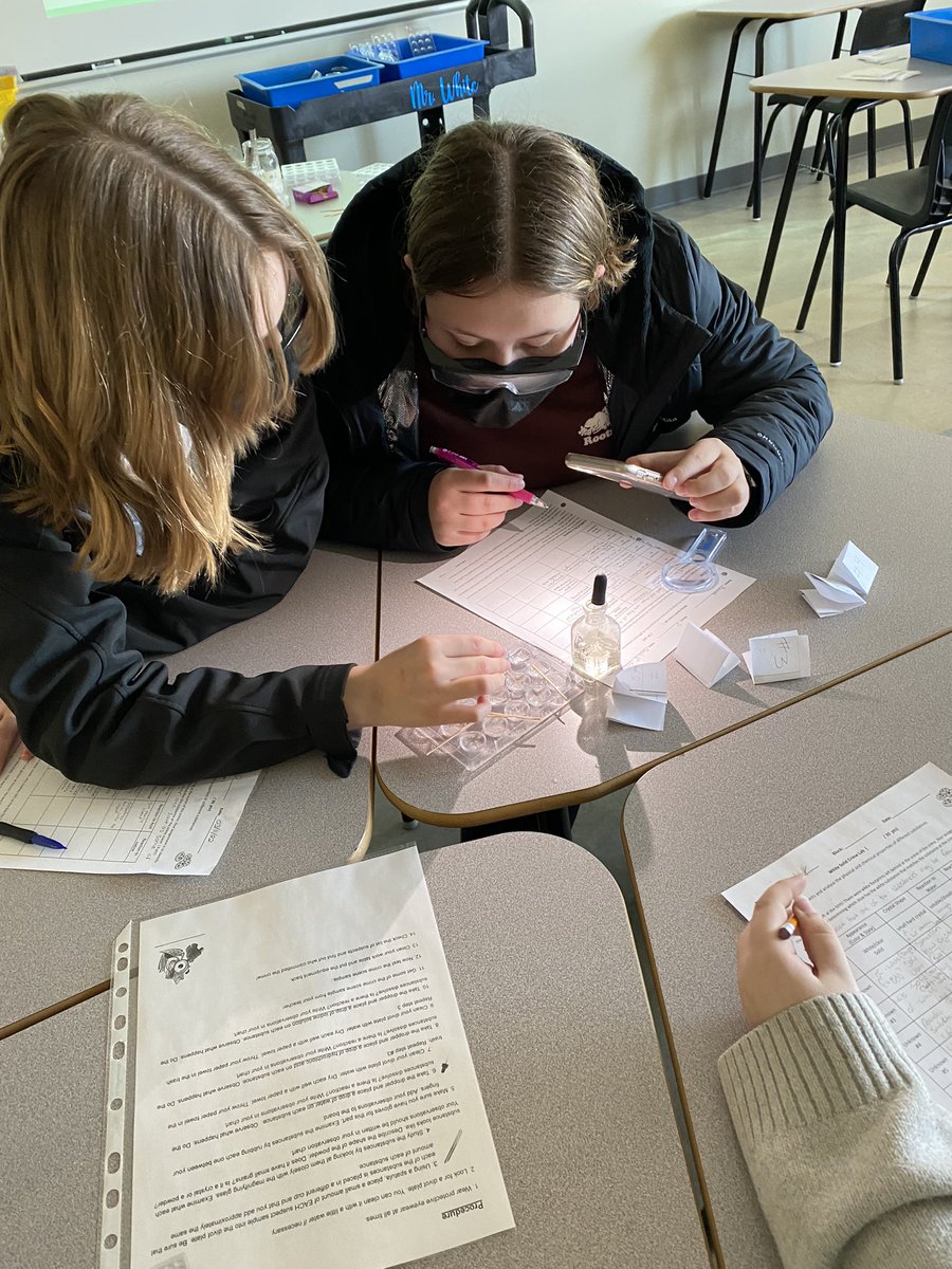 Still trying to figure out who stole those cookies in Science 9.