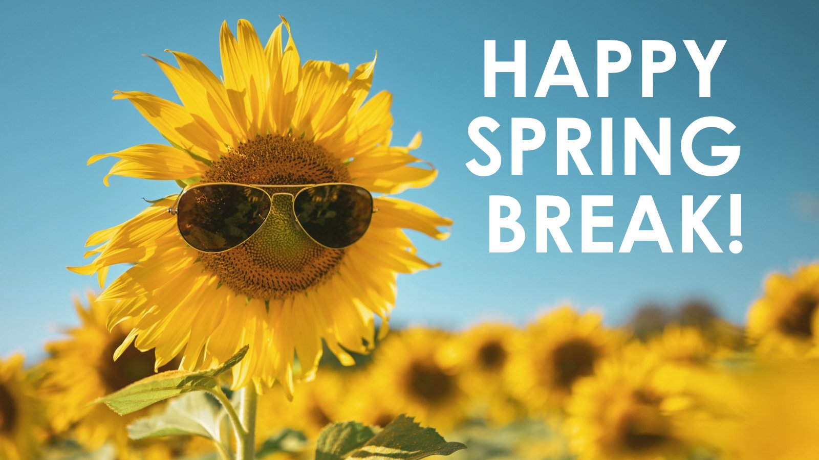 Carrollton-Farmers Branch ISD on X: "HAPPY SPRING BREAK! We ...